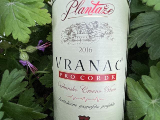 Вино Vranac Pro Corde