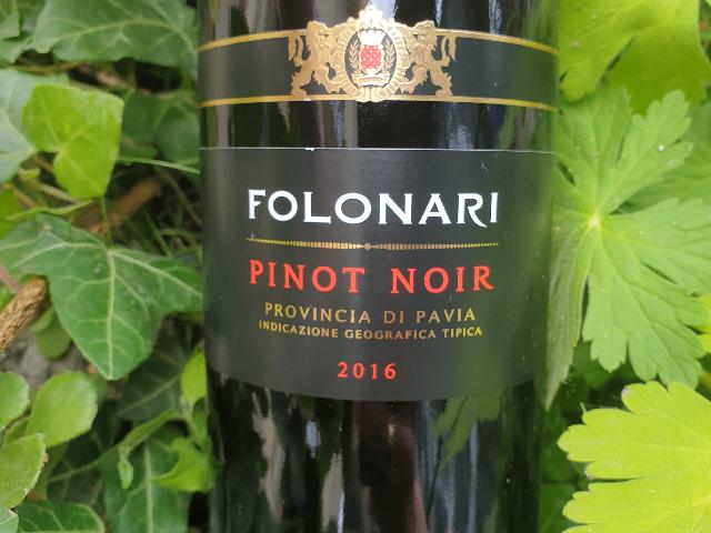 Folonari Pinot Noir Provincia di Pavia IGT /  Фолонари Пино Нуар Провинция ди Павия (сух.)