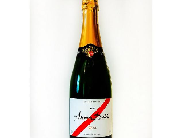 Вино игристое Brut Cava Arnan Deloi белое брют 11,5%,0,75