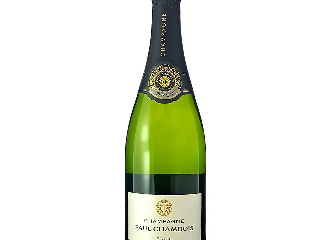 Шампанське Paul Chambois Brut 0,75л