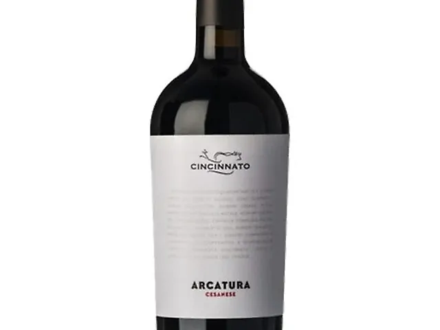 Вино Cesanese Arcatura черв.сухе 13.5% 0,75