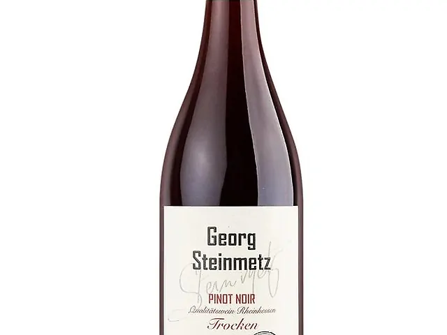 Вино Georg Steinmetz Pinot Noir trocken Rheinhessen червоне, сухе 11.5% 0,75