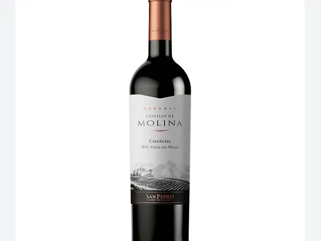 Carmenere Castillo de Molina