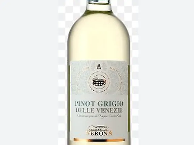 Pinot Grigio delle Venezie Cantina di Verona (біл.сух. Італія)