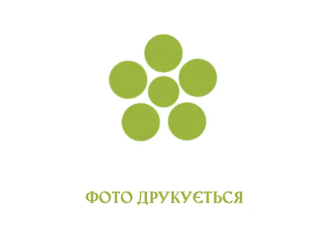 Філе молочного теля з молодою картоплею