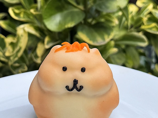 Корпусний кіт