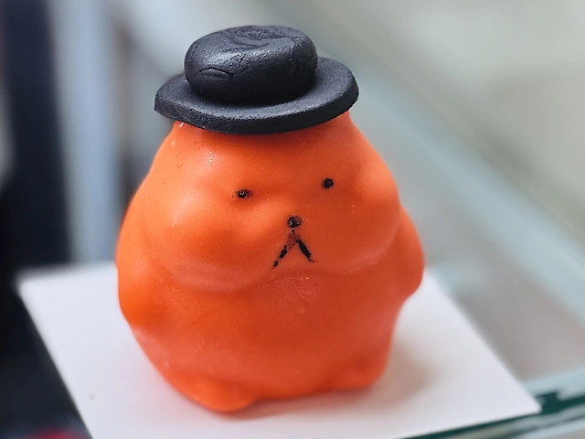 Корпусний кіт