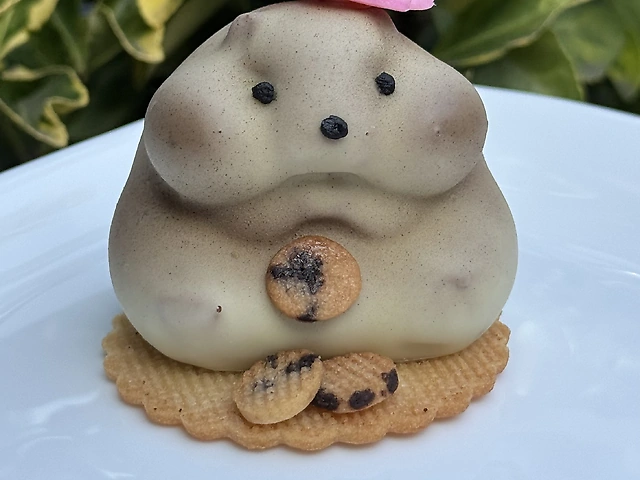 Корпусний хомʼяк