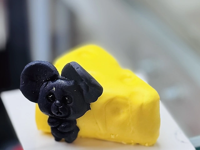 Корпусний сир