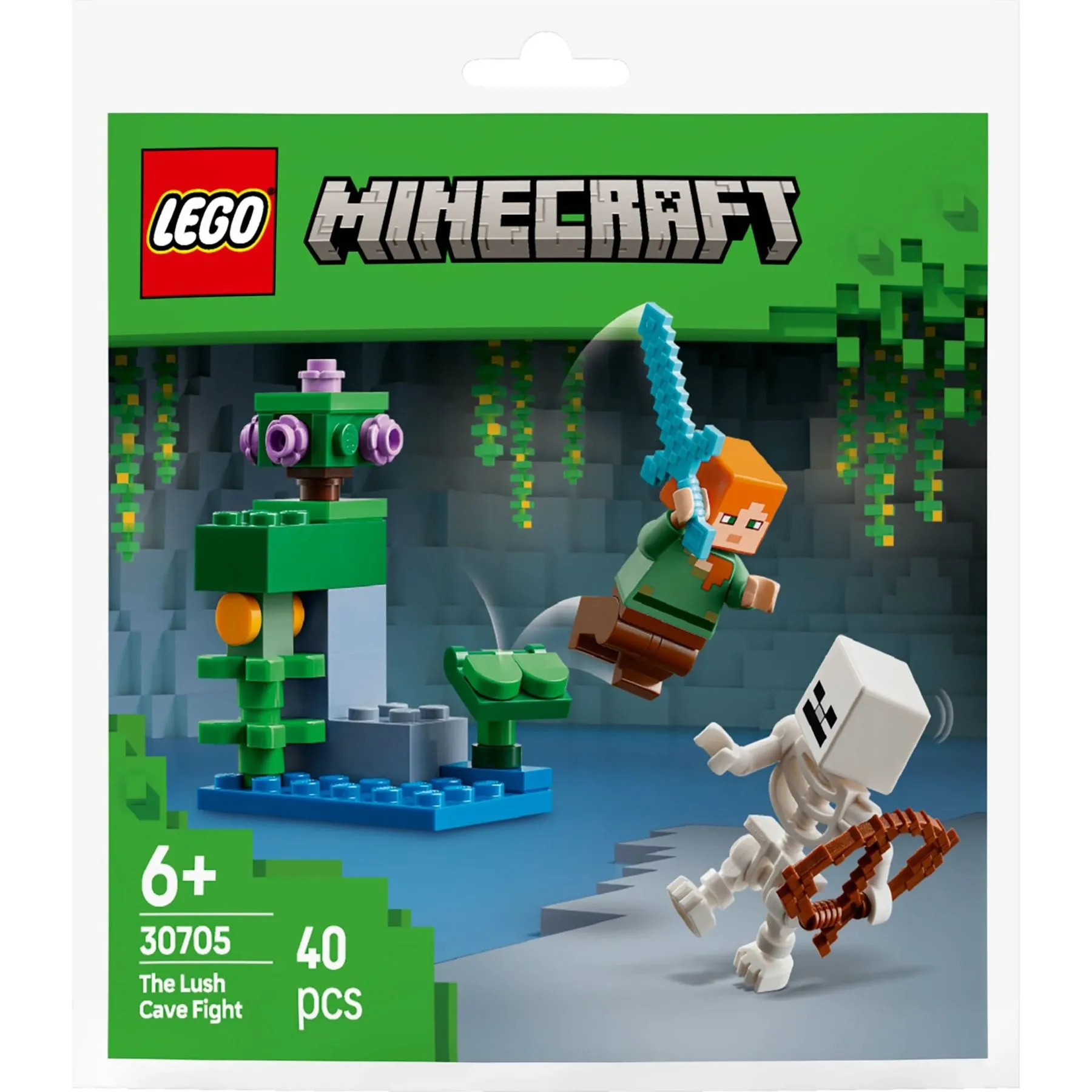 Конструктор Бій в печері з хащами LEGO Bags