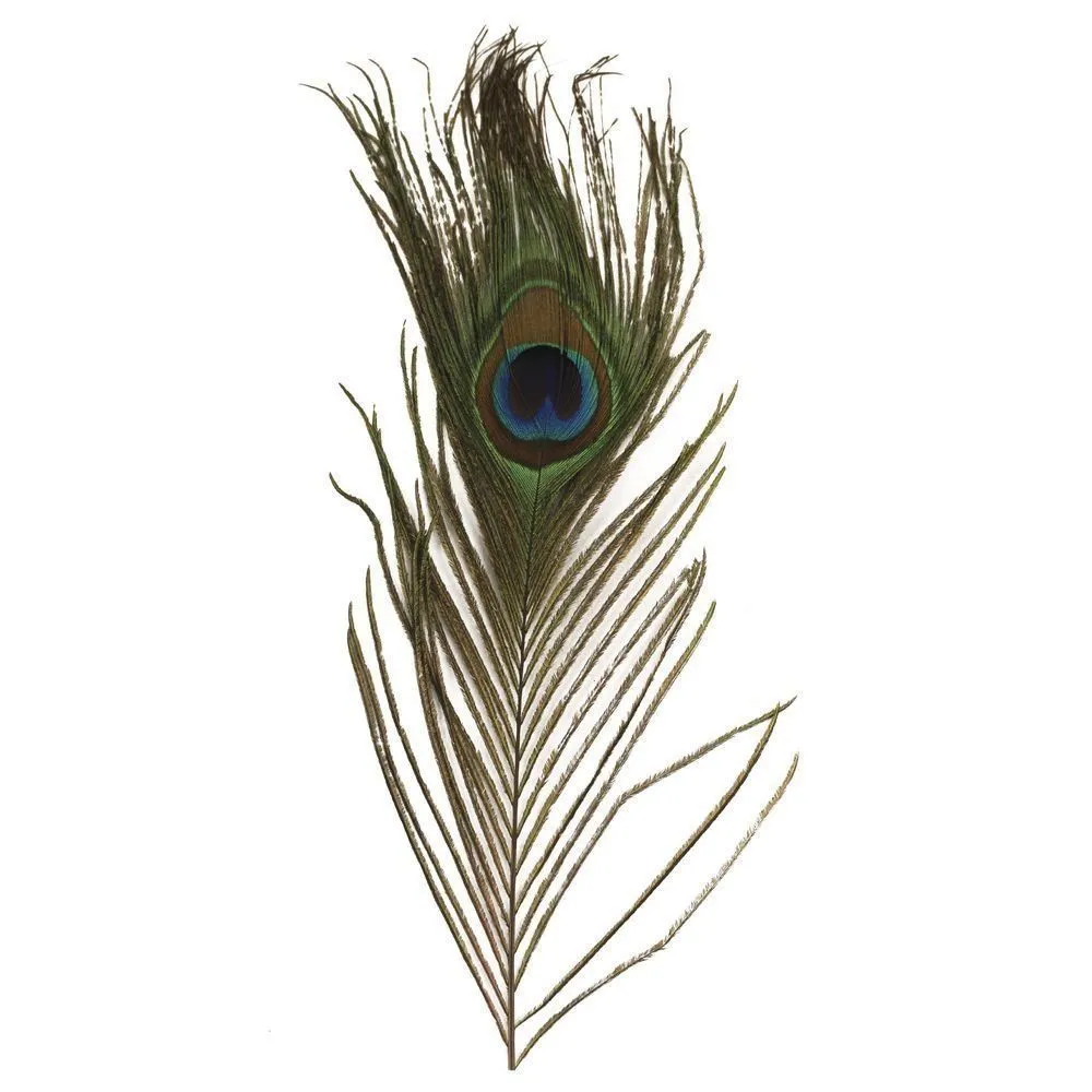 Павині пір'я Rayher