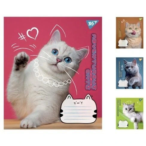 А5/12 лін. Yes Adventurous cats, зошит учнів.