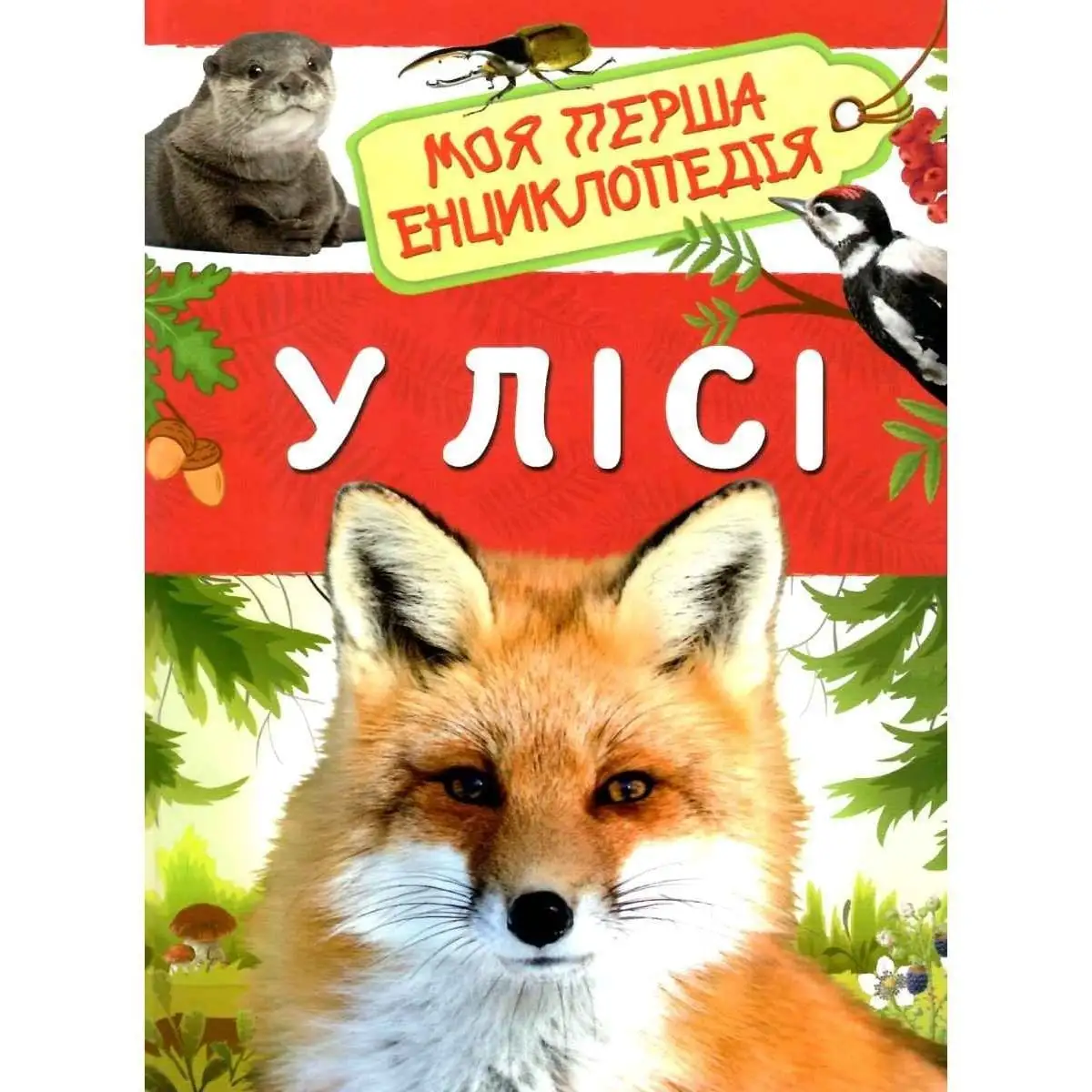 У лісі. Моя перша енциклопедія