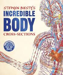 Stephen Biestys Incredible Body Cross-Sections