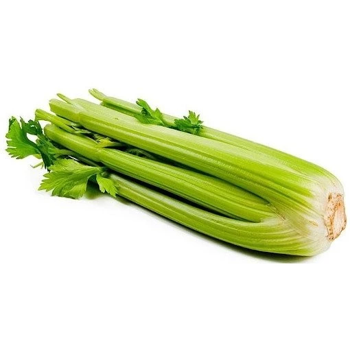 Стебло селери
