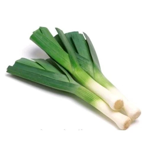 Цибуля Порей