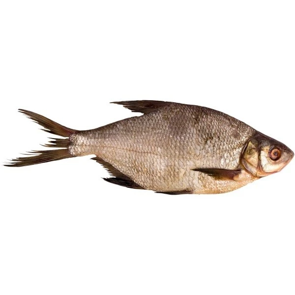 Риба охолоджена Лящ