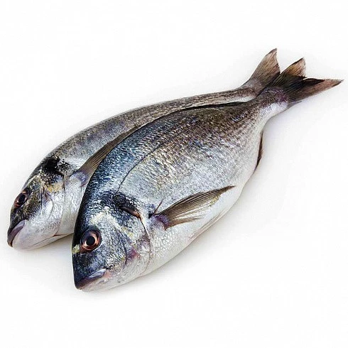 Риба охолоджена Дорадо 400-600 г