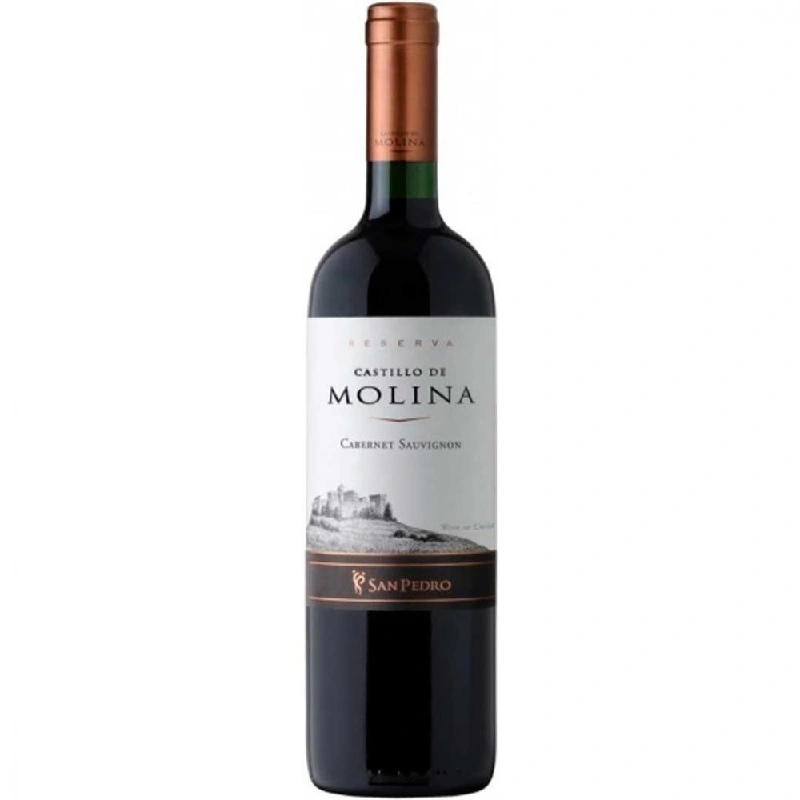 Вино червоне сухе Cabernet Sauvignon Castillo de Molina, 0.75 л