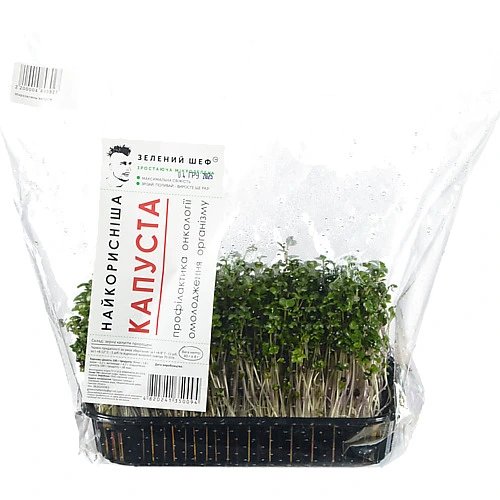 Мікрозелень рукола