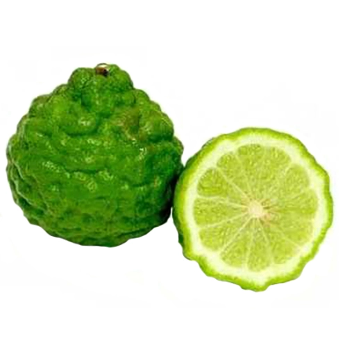 Лайм каффір