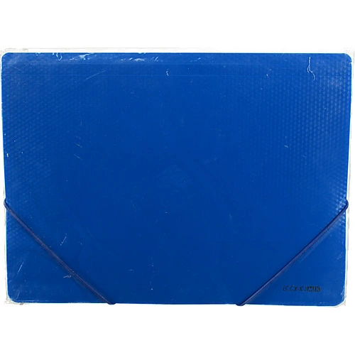 Папка Economix А4 пластик на резинці асортимент Е31601