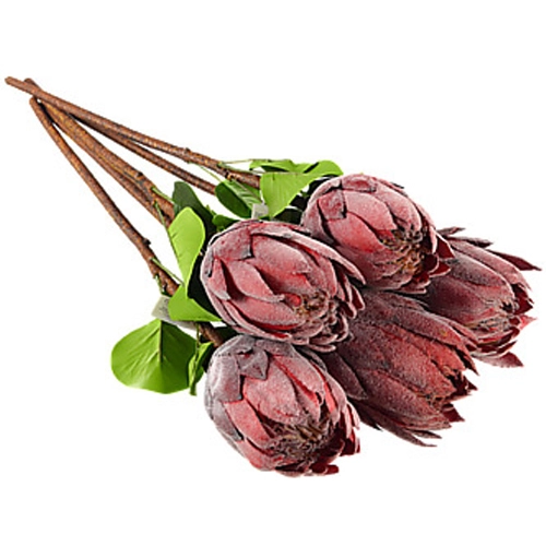 Штучна рослина Protea cynaroides 67см