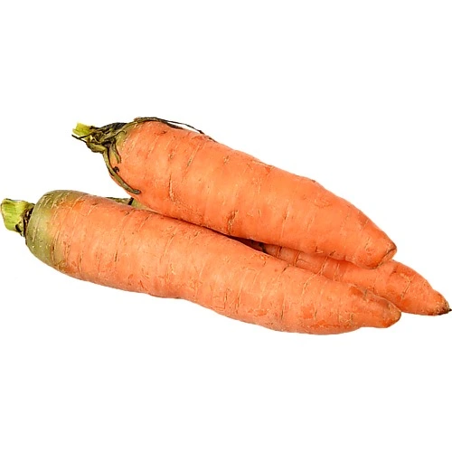 Морква молода