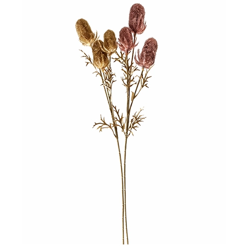 Штучна рослина Dipsacus sativus 65 см