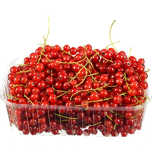 Смородина червона