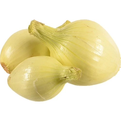 Цибуля біла молода