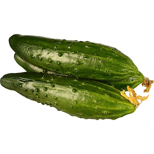 Огірок естафета Україна