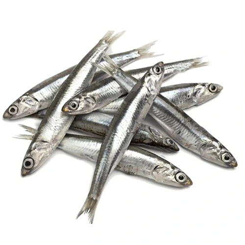 Ферина чорноморська свіжа