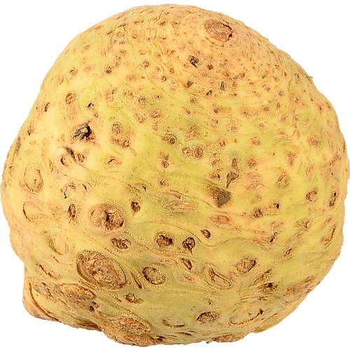 Селера корінь