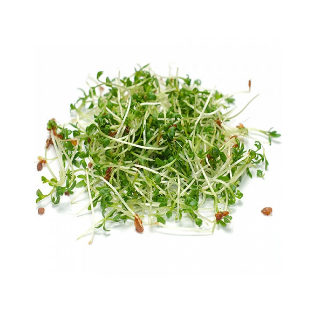 Мікрозелень крес салат