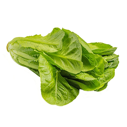 Салат Ромен