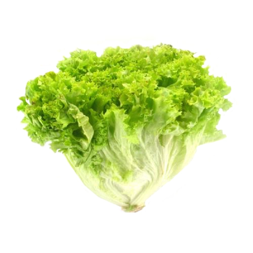 Салат Лола Біонда