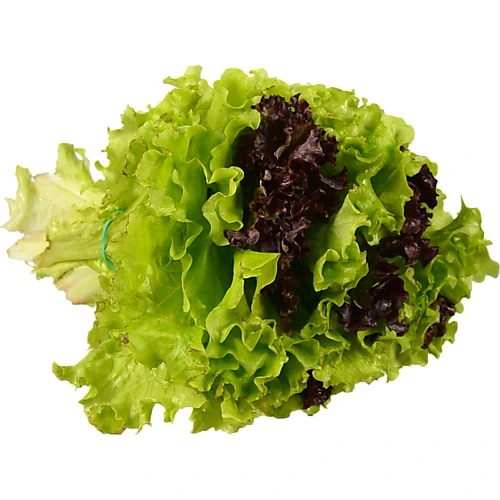 Салат Латук 40 г