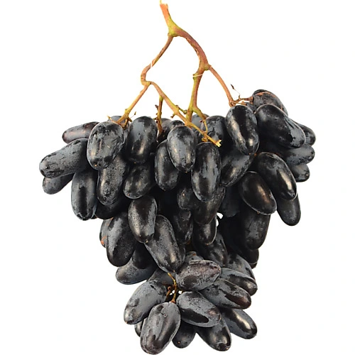 Виноград чорний