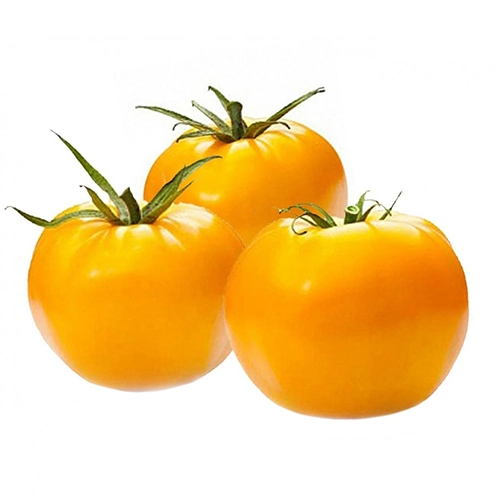 Помідори жовті