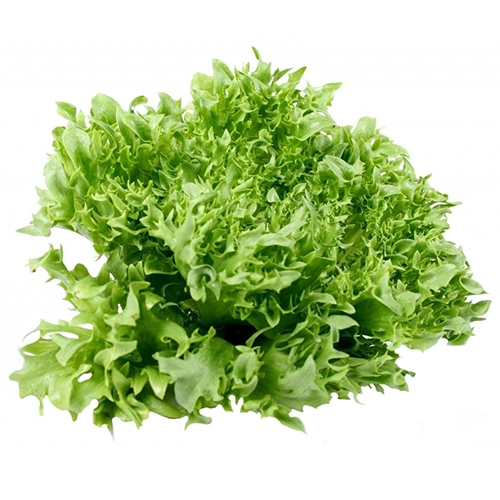 Салат Фризе