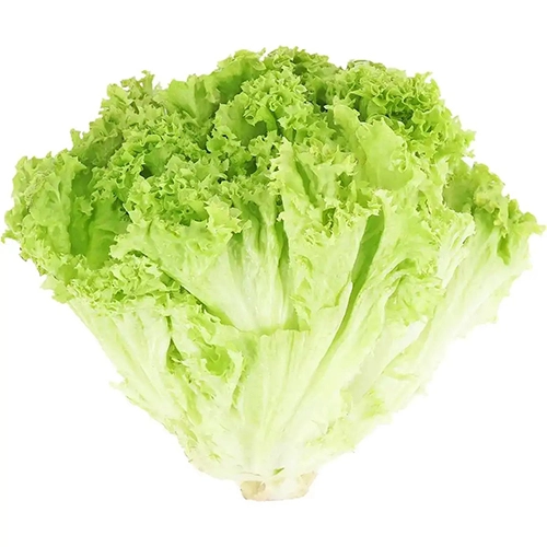 Салат Лола біонда