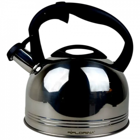 Чайник FLORINA ANTER 2,3л  арт.5C0107 И298