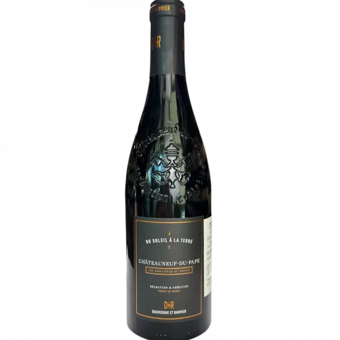 Вино D.RANVIER 0,75л черв.сухе14,5 Шатонеф-дю-Пап Франція