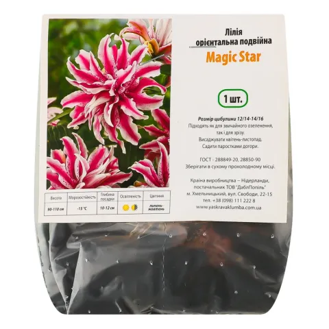 Лілія орієнтальна подвійна Magic Star 1 шт.