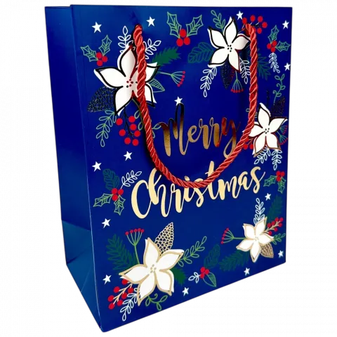 Пакет под. папер. НР 18х23х10 см 771S 5985 И209