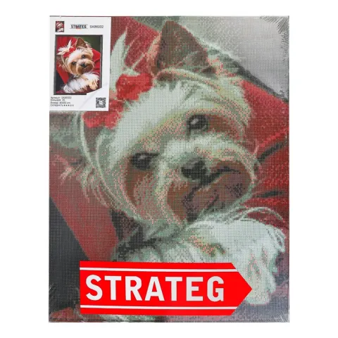 Набір д/творчості Strateg Алмазна картина без коробки в асорт. 40х50 см