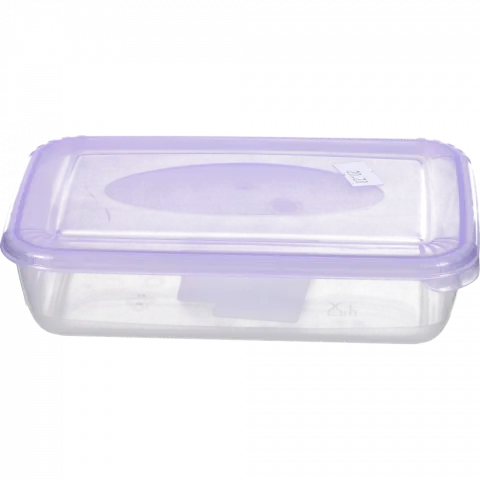 Ємкість д/мороз. POLAR прямокут. 0,45 л 1670