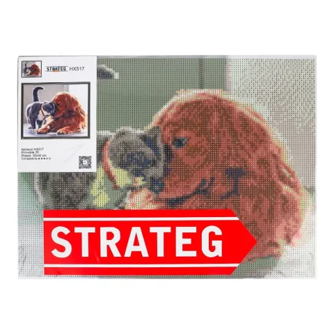 Набір д/творчості Strateg Алмазна картина без коробки в асорт. 30х40 см