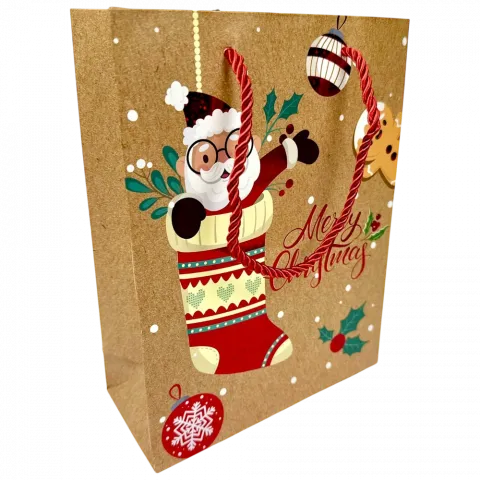 Пакет под. папер. НР 18х23,5х8 см 9164S 5985 И025